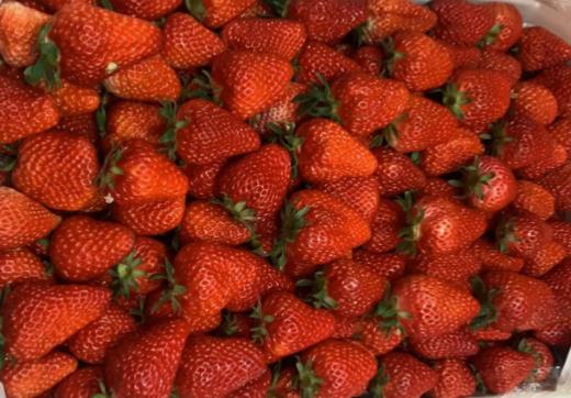 【周五自提】本地奶油草莓（2斤装） 商品图0