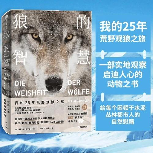 狼的智慧 我的25年荒野观狼之旅 （德）埃莉·H·拉丁格 著 商品图0