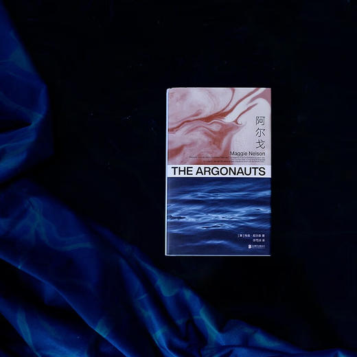 阿尔戈（美）玛吉·尼尔森 著 商品图7