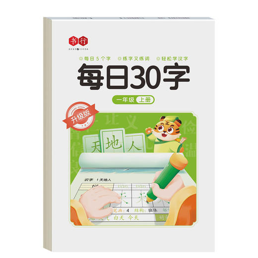 新版每日30字练字帖【笔顺笔画+好词好句】小学1-6年级每日一练人教版语文同步学习写字专用硬笔书法练字本 商品图9