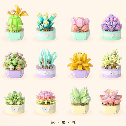 积木花多肉盆栽 儿童成人潮玩玩具 商品图2