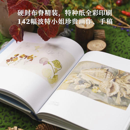 彼得兔作者新书|自然的童话：毕翠克丝·波特的艺术世界  收录142幅珍贵作品 回顾比得兔创作者艺术创作生涯 绘本传记 商品图4