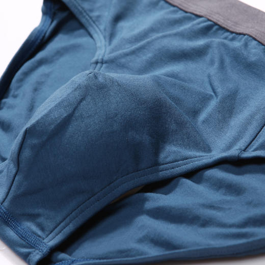 都市丽人都市锋尚简约基础内裤男干爽棉男士内裤三角内裤FK41A1 商品图6