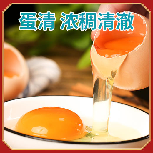 凤领王朝泰和原种乌鸡蛋 商品图4