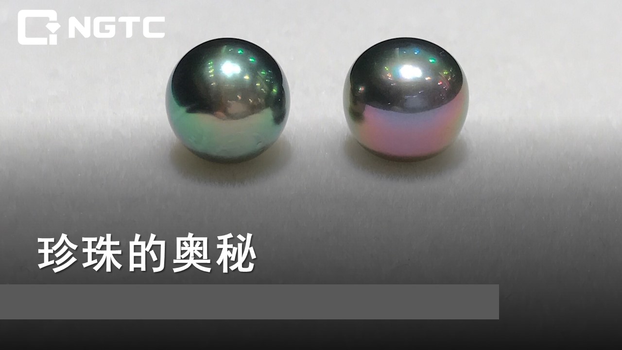 珍珠的奥秘