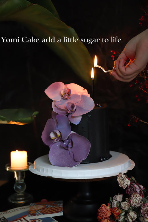 蝴蝶兰🌸 商品图0