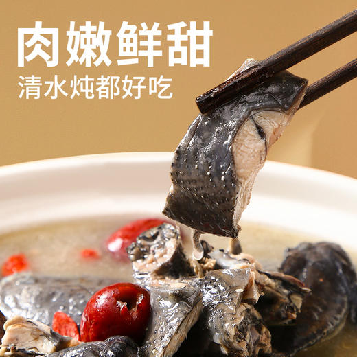 凤领王朝泰和原种乌鸡 商品图2