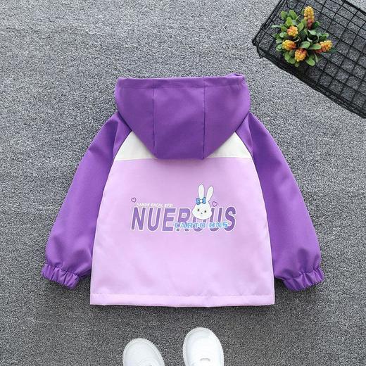 女童外套春秋款2024新款洋气宝宝春季薄款春装上衣中大男童装衣服 商品图4