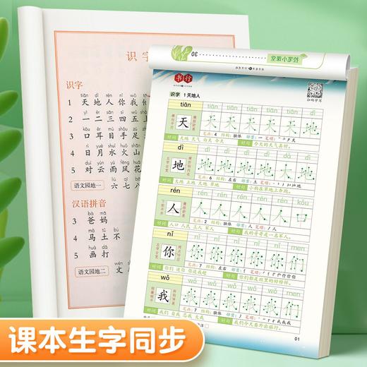 新版每日30字练字帖【笔顺笔画+好词好句】小学1-6年级每日一练人教版语文同步学习写字专用硬笔书法练字本 商品图3