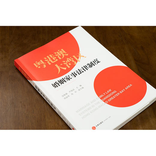 粤港澳大湾区婚姻家事法律制度 邹艳娥 芦海滨主编 周丽琴 高杉副主编 法律出版社 商品图3