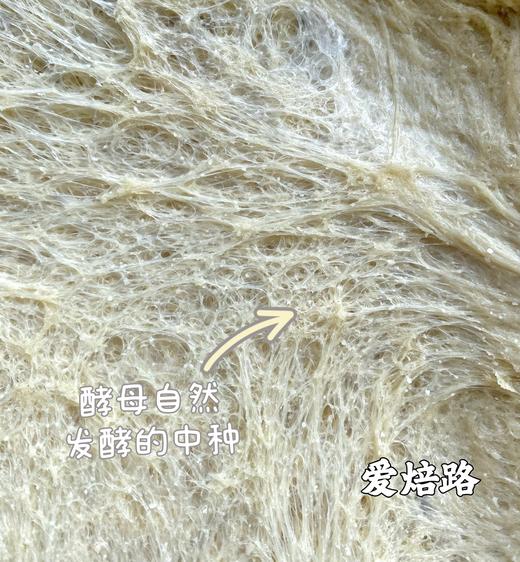 低碳生酮白吐司 三明治方包 含麸质 商品图4