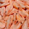 加拿大北极甜虾1.5kg/散装1斤装 商品缩略图1