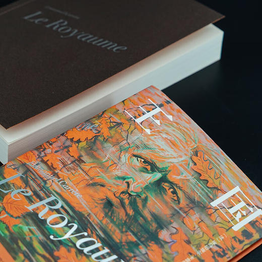 守望者·文学：王国 商品图3