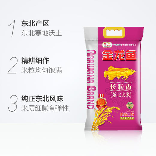 【自营】金龙鱼黄金产地长粒香5kg 商品图1