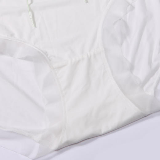 都市丽人基础系列薄透丝滑内裤女锦泳女士内裤速干低腰平角内裤LK45A2 商品图6