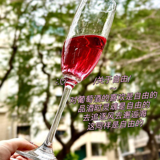 【毕迦索联名小红酒礼盒】春日限定三款 桃红酒+巧克力甜红+甜白组合 商品图5