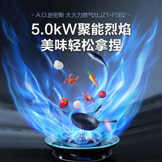 【JZT-F5B2】A.O.史密斯大火力燃气灶 商品图0