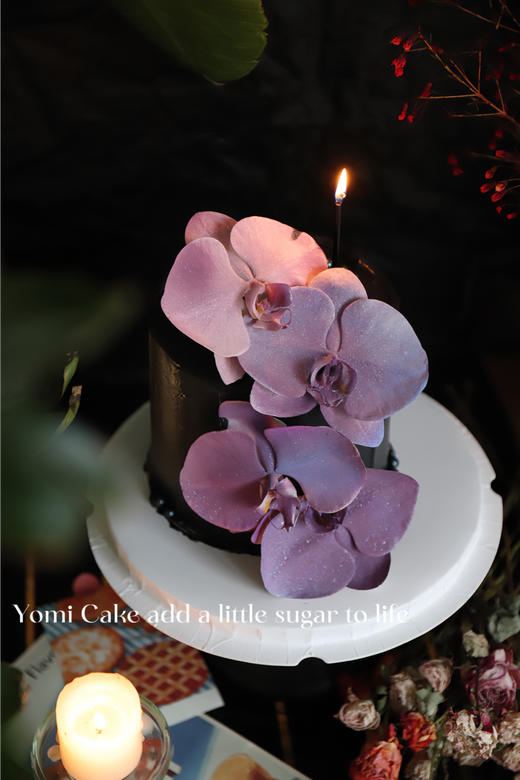 蝴蝶兰🌸 商品图2