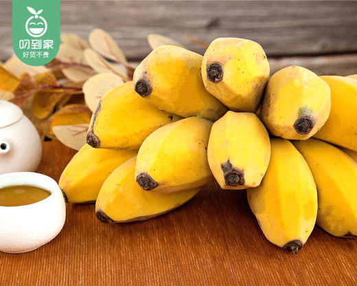 【当季叼果】南野田园苹果蕉/1箱（1.5kg±100g） 商品图1