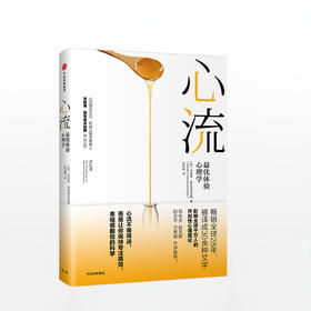 心流 心流理论之父 米哈里·契克森米哈赖作品