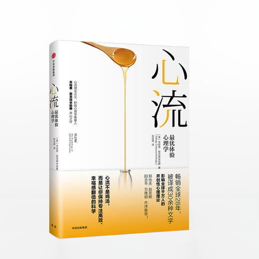心流 心流理论之父 米哈里·契克森米哈赖作品 商品图0