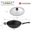 【清仓特惠4.5折，仅1件，无货退款】丹麦scanpan不粘锅炒锅进口家用炒菜锅classic系列锅具电磁炉可用32cm 商品缩略图0
