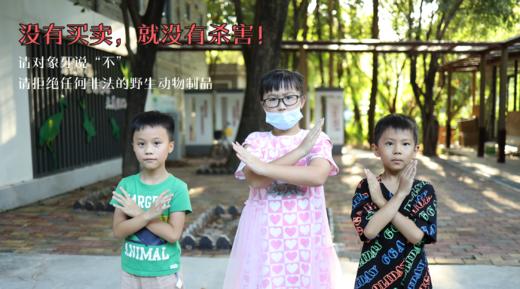 2024春夏公益课 | WWF少年熊猫客计划 商品图3