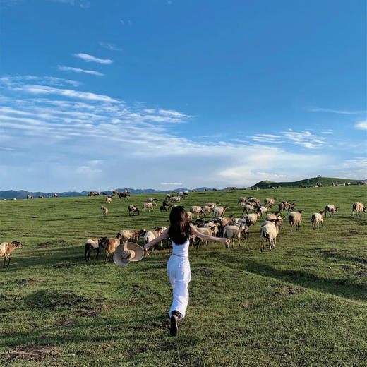 房车私家团 | 绿野仙踪·甘南6天5晚 商品图1