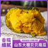 山东大棚贝贝南瓜(M) 商品缩略图0