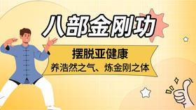 八部金刚功02期