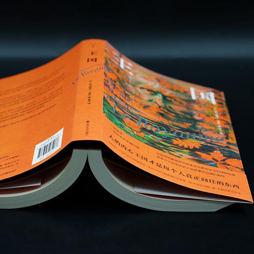 守望者·文学：王国 商品图4