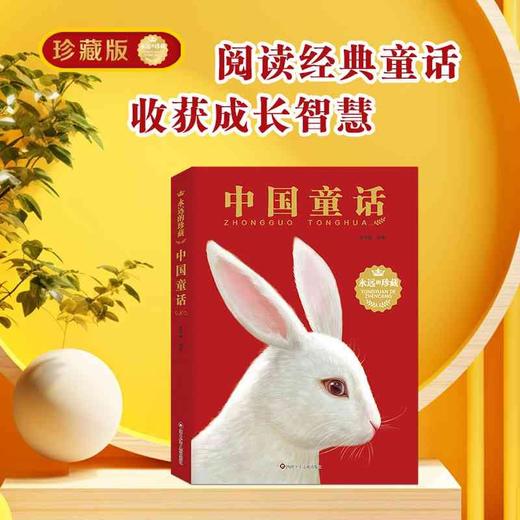 中国童话 7-10岁 爱阅鹿 著 儿童文学 商品图0