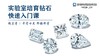 实验室培育钻石快速入门课 商品缩略图0