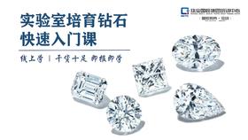 实验室培育钻石快速入门课
