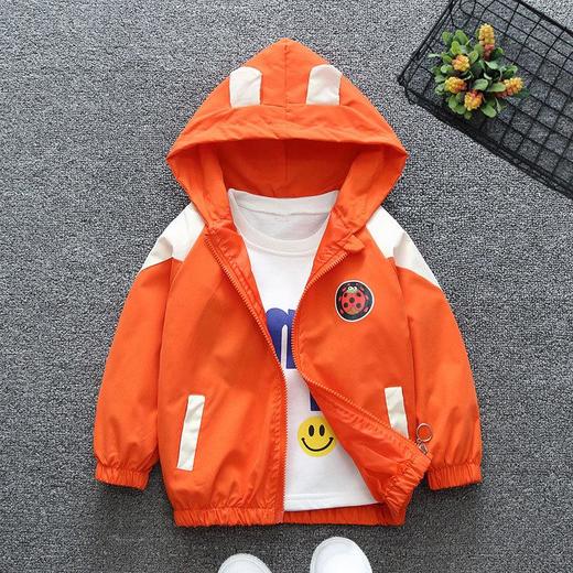 童装男童外套春装2024新款儿童连帽拉链衣中小童春秋季洋气韩版潮 商品图3