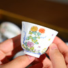 康熙五彩十二花神杯，一月一杯，风雅至极【G】 商品缩略图4