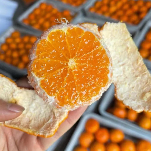 雲端•甜沃柑，一口爆汁，清香扑鼻、果肉细腻化渣 商品图3