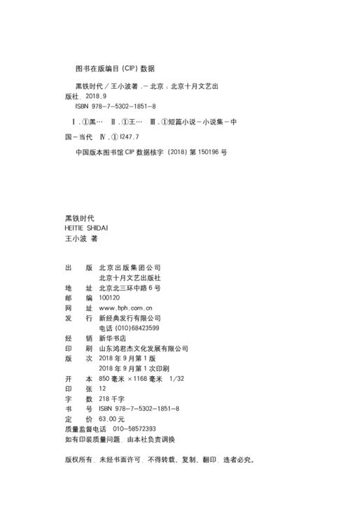 王小波：黑铁时代 商品图2