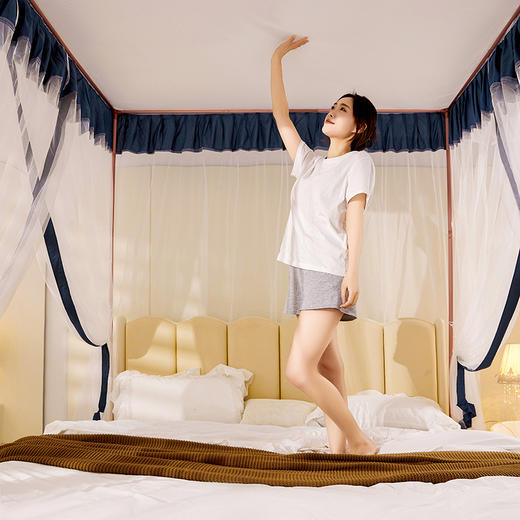 自然醒落地蚊帐家用卧室公主风床幔加厚1米8大床宫廷高级纹账2403HH 商品图7