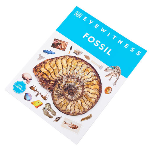 【中商原版】Eyewitness系列 化石百科 Eyewitness Fossil DK Eyewitness 英文原版 DK 科学百科 自然科学 化石 商品图2