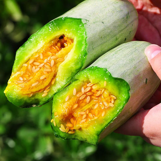 蜜园18号羊角蜜甜瓜 商品图0