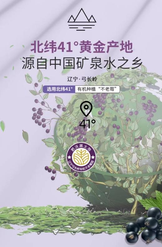 不老莓植物饮品 天然纯粹0添加 富含花青素 轻卡0脂每日一饮 改“便”生活，拒绝大腹婆 商品图4