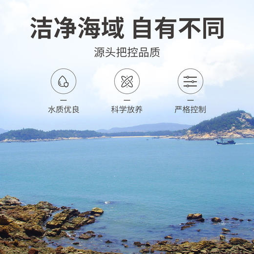 方家铺子 墨鱼干458g/袋装 商品图8