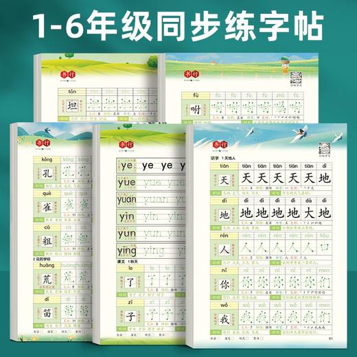 新版每日30字练字帖【笔顺笔画+好词好句】小学1-6年级每日一练人教版语文同步学习写字专用硬笔书法练字本 商品图8