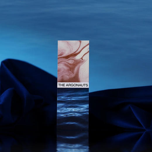 阿尔戈（美）玛吉·尼尔森 著 商品图6