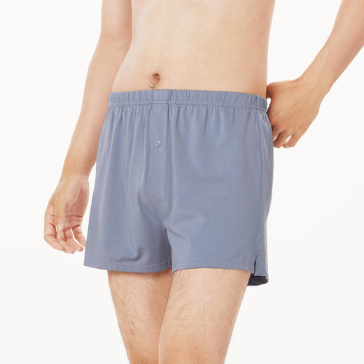 都市丽人都市锋尚简约基础内裤男40S棉粘男士内裤平角内裤FK48A1 商品图2