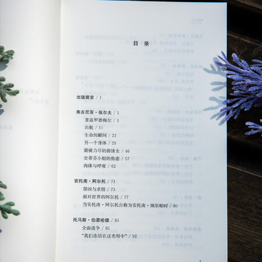 守望者·镜与灯:激情如初：凡·高、普鲁斯特、伍尔夫等 商品图6