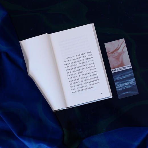 阿尔戈（美）玛吉·尼尔森 著 商品图8