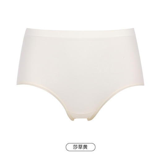 都市丽人健康一体美臀一体无缝内裤女无缝面料女士内裤中腰三角内裤LK42A6 商品图12