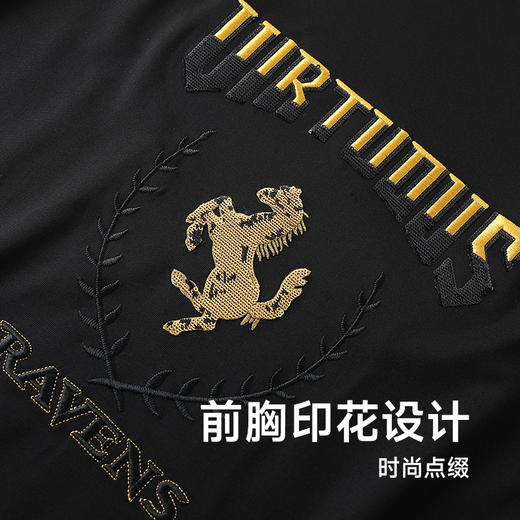 【Q】【桑蚕丝】【莱赛尔】【新款DG】大依优型大码短袖T恤圆领胸前印花加肥加大男士大号弹力透气舒适半袖夏装 商品图2